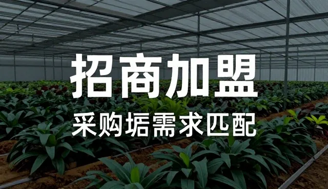 高效信息匹配的关键在于性能与适用条件的平衡