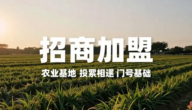 招商加盟业务趋势:信息展示如何重塑行业生态